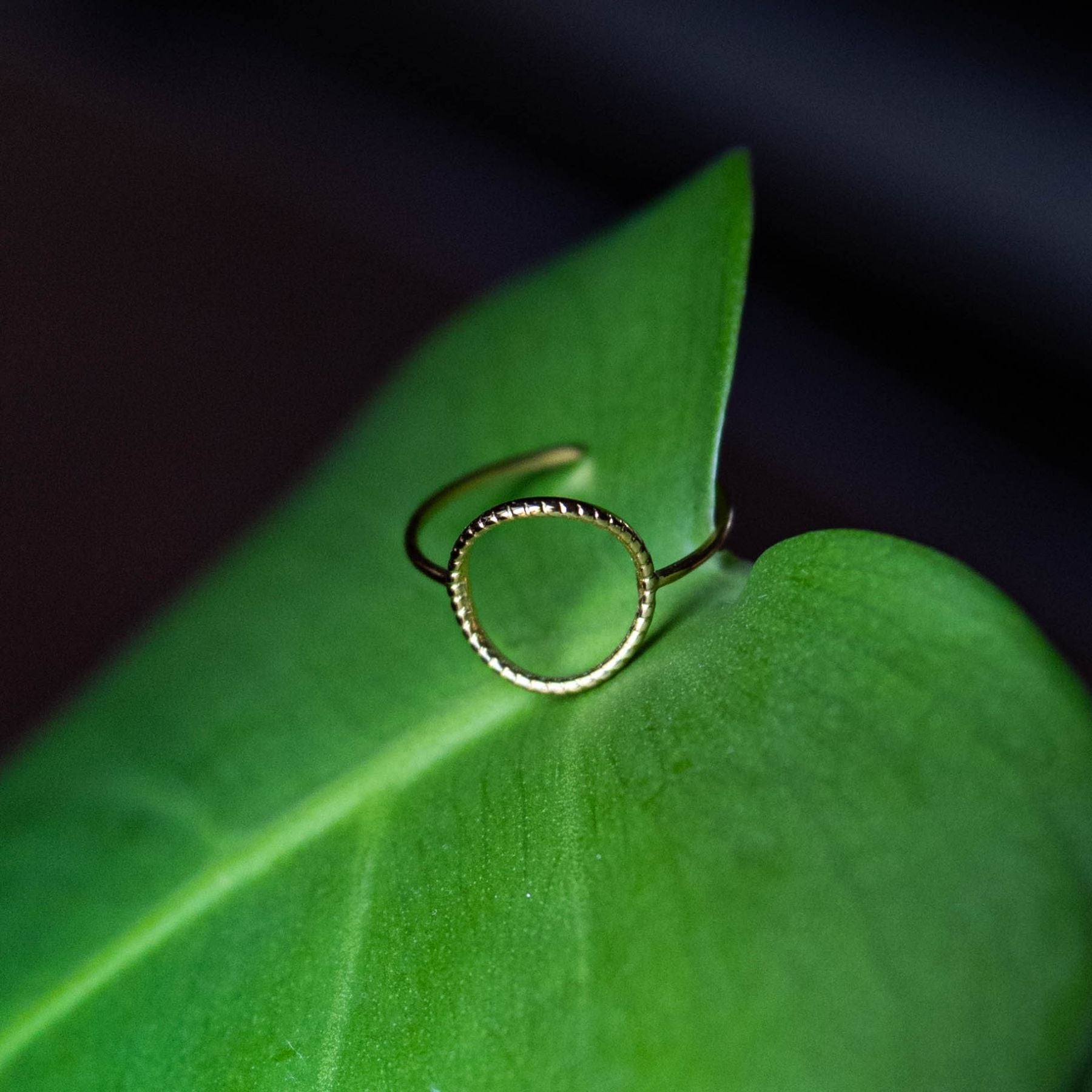 Bague "Cercle" en Acier inoxydable